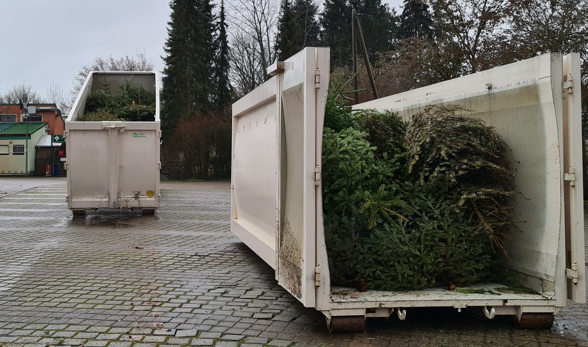 Christbaumcontainer